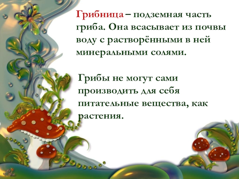 Грибница предложение. Грибница подземная часть гриба. Основная подземная часть гриба. Какая часть гриба поглощает из почвы воду. Какая часть гриба всасывает из почвы воду.