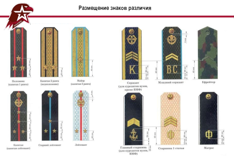 Размещение знаков различия на парадной форме нового образца со стойкой