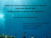 Презентация по естественным наукам Эндемическая медленная болезнь Куру (прионы)