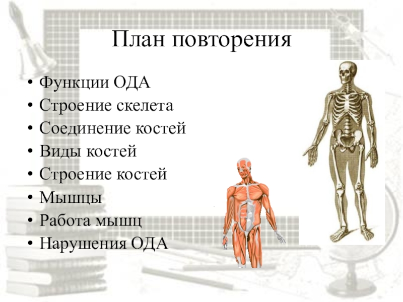 Контрольная работа по биологии опорно двигательная система