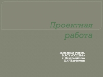 Презентация по факультативу ОНИД Проектная работа