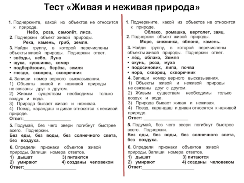 Презентация тест по окружающему миру 2 класс