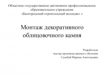 Презентация Монтаж декоративного облицовочного камня