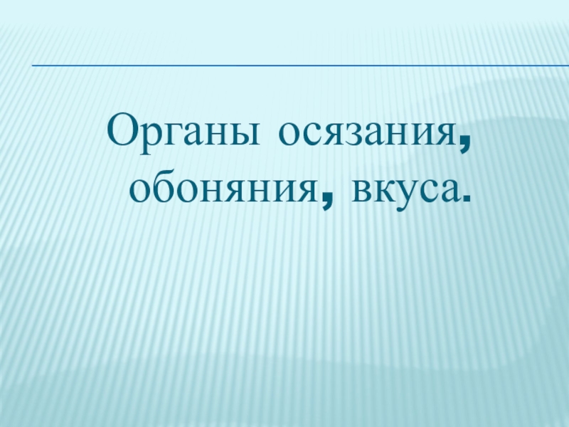 Органы осязания обоняния и вкуса презентация 8 класс