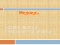 Презентация Медведь-священное животное у народа саха