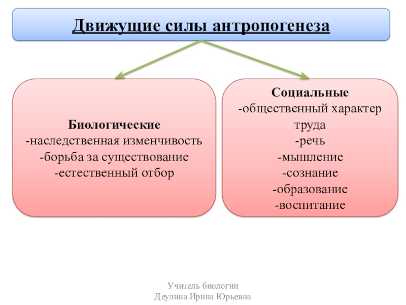 Сознание и мышление 8 класс презентация