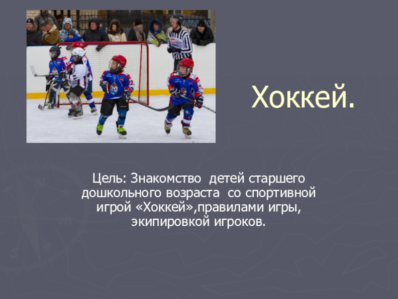 Презентация Презентация Зимние виды спорта.Хоккей