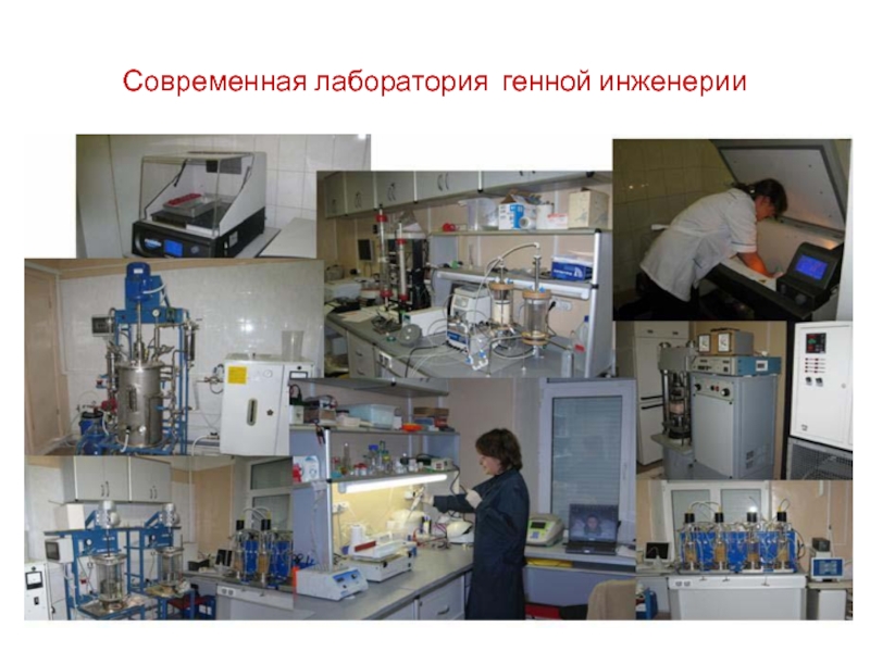 Доклад: Современная лаборатория молекулярной биологии