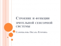 Презентация  Строение и функции зрительной сенсорной системы