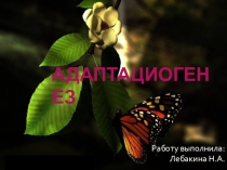 Презентация по биологии на тему Адаптациогенез