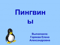 Презентация по окружающему миру Пингвины