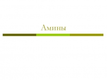 Амины, 2013 год. Материалы к уроку.
