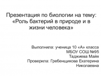 Презентация по биологии на тему Бактерии (10 класс)