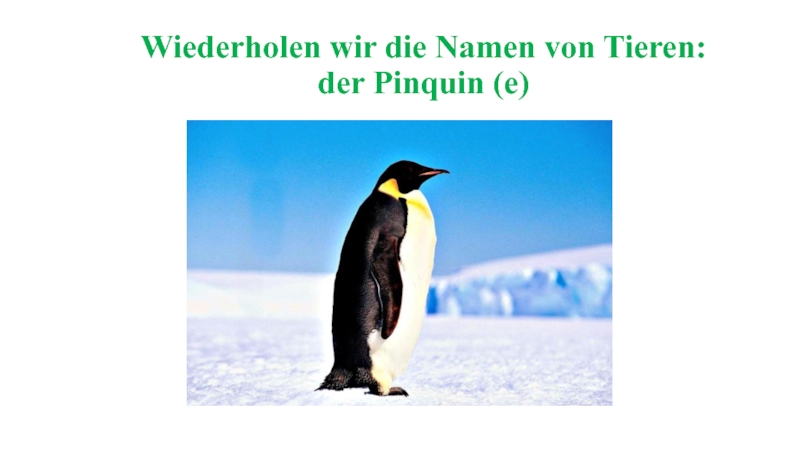 Презентация Презентация к уроку по немецкому языку как второму иностранному (5 класс) на тему Животные