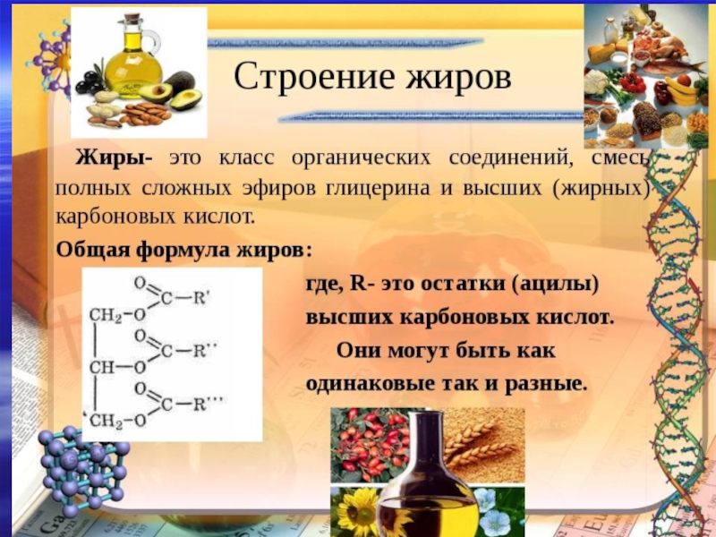 Продукты питания как химические соединения проект по химии