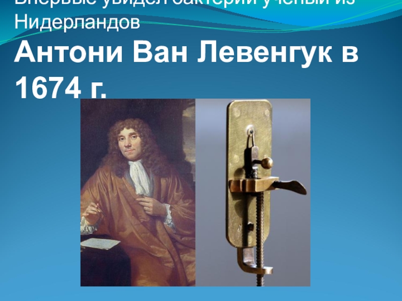 Открытие ван левенгука. Антони Ван Левенгук 1674. Ученый Антони Ван Левенгук. Антони Ван Левенгук впервые увидел. Об инфекциях Антони Ван Левенгук.