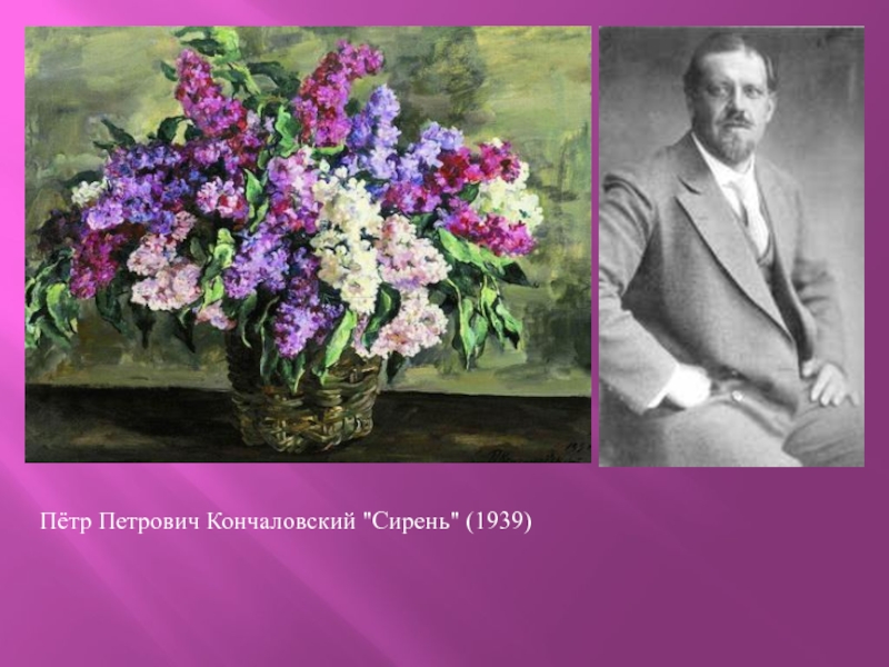 Картина сирень в корзине кончаловского. «Сирень» (1939) Петр Кончаловский. Пётр Кончаловский сирень. Кончаловский пётр Петрович сирень 1933. Пётр Кончаловский куст сирени 1941.