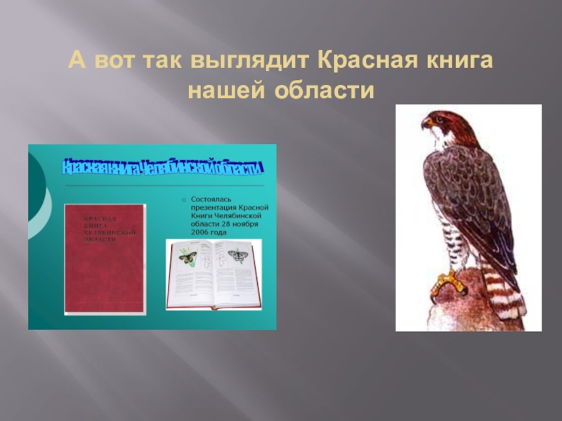 Животные красной книги челябинской области презентация