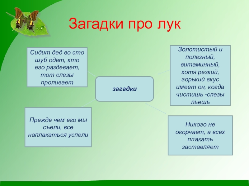 Загадка про окно. Загадка про лук. Загадка про лук для детей. Загадки на тему лук. Загадки о луке.