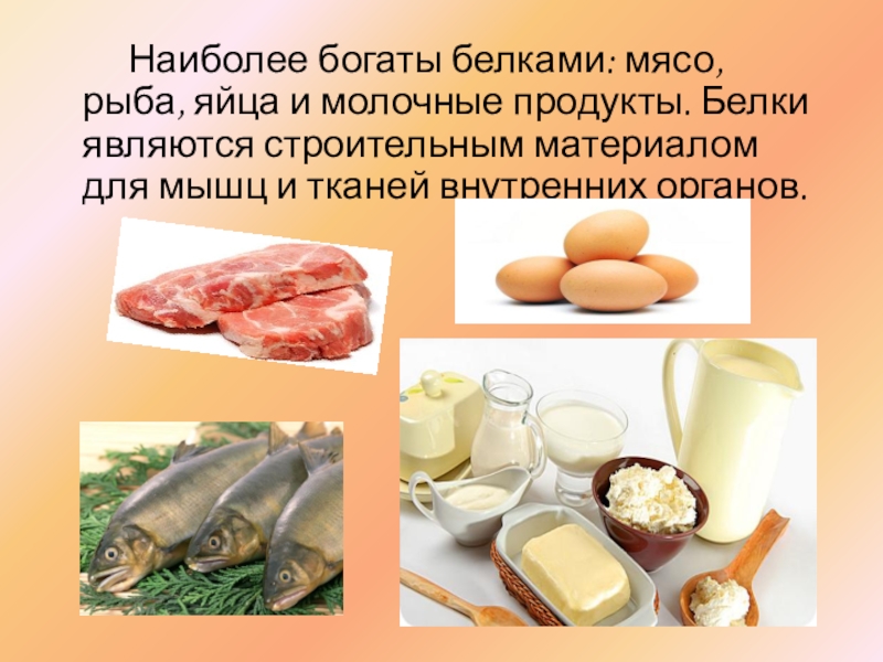 Белок обеспечивающий. Наиболее богаты белками. Белки в рыбе и мясе. Белок строительный материал для мышц. Мясо рыба молочные продукты.