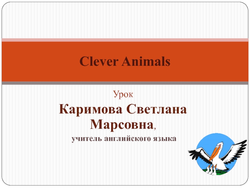 Spotlight 3 clever animals презентация