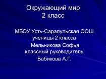 Презентация по окружающему миру Город Москва (2 класс)