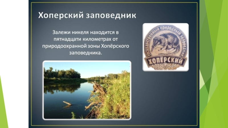 Проект воронежский заповедник