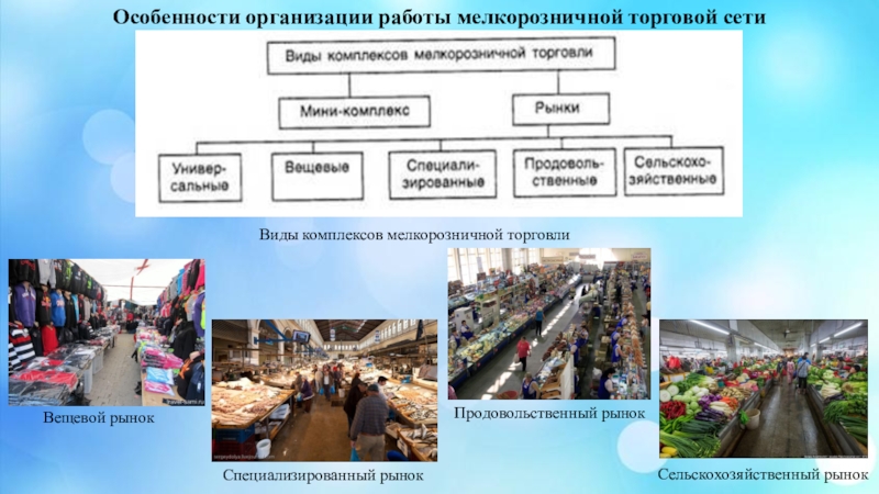 Фирма внутренней торговле. Предприятий мелкорозничной торговли. Виды мелкорозничной торговой сети. Мелкорозничная торговая сеть. Оптовый и розничный рынок.