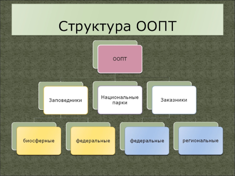 Особо охраняемые природные зоны. Структура ООПТ. Структура заповедника. Иерархия ООПТ. Особо охраняемые природные территории. Структура,.