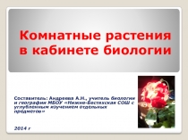 Презентация по биологии Комнатные растения в кабинете биологии