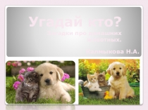 Презентация по теме ознакомление с домашними животными в загадках