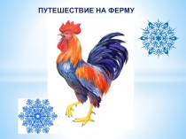 Презентация Путешествие на ферму