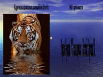 Зерттеу жұмысы Құрып бара жатқан барыс аңын аман сақтап қалу жолдары