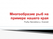Презентация по биологии на тему  Многообразие рыб Красноярского края
