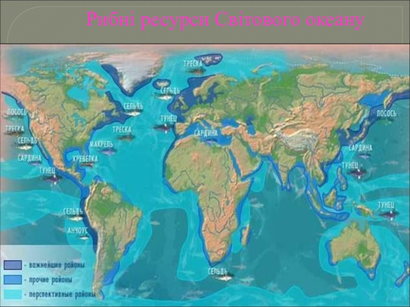 Реферат: Ресурси світового океану