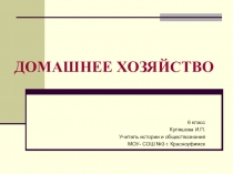 Презентация по обществознанию Домашнее хозяйство.