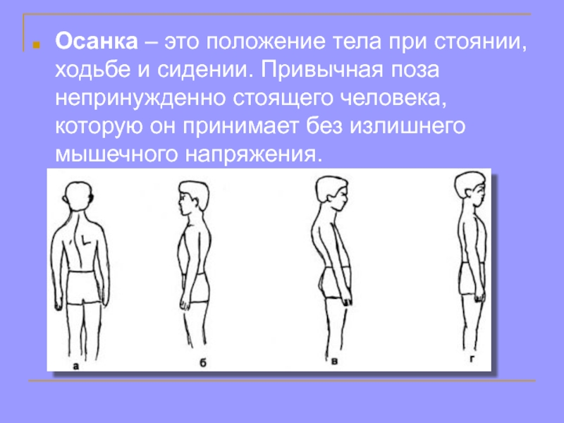 Положение тела человека. Осанка тела человека. Осанка и походка. Осанка при ходьбе. Правильная осанка при ходьбе.