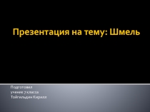 Презентация по технологии по теме Шмели