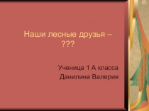 Презентация к конференции 2017 г.