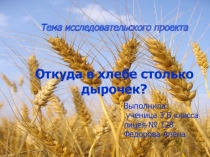 Презентация по окружающему миру Откуда в хлебе столько дырочек?