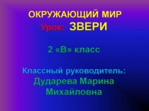 Звери ( 2 класс)