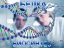 Презентация по биологии на тему Этапы биосинтеза белка.