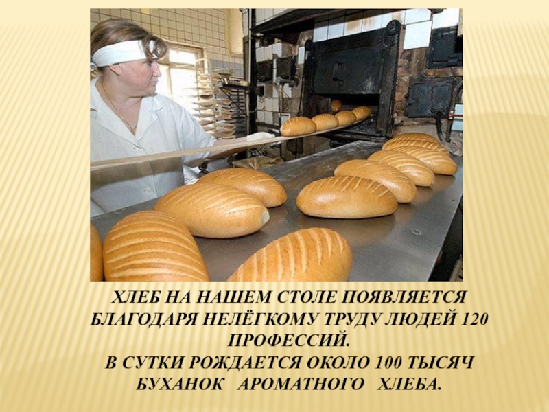 Хлеб на нашем столе появляется благодаря нелёгкому труду людей 120 профессий.В сутки рождается около 100 тысяч буханок