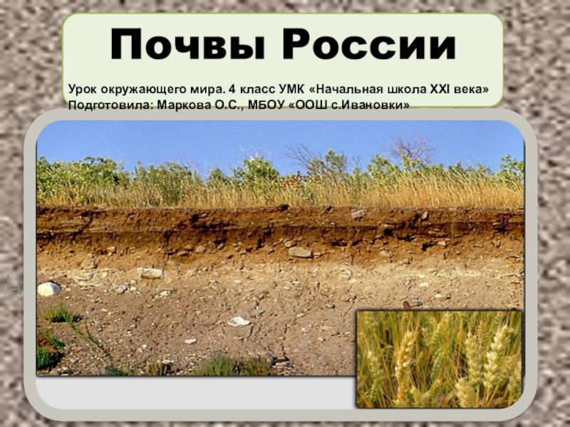 Презентация Презентация по окружающему миру на тему Почвы России ( 4 класс)