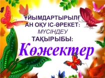 Ашық ұйымдарстырылған оқу іс - қызметі:Мүсіндеу. Тақырыбы: Көжектер