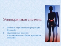 эндокринная железа