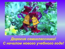 Презентация к первому уроку алгебры ( 7 класс)