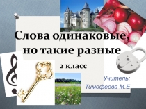 Презентация по русскому языку на тему Омонимы