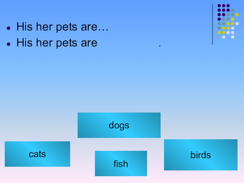 Her pets are