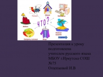 Презентация по русскому языку на тему Имя существительное (5 класс)